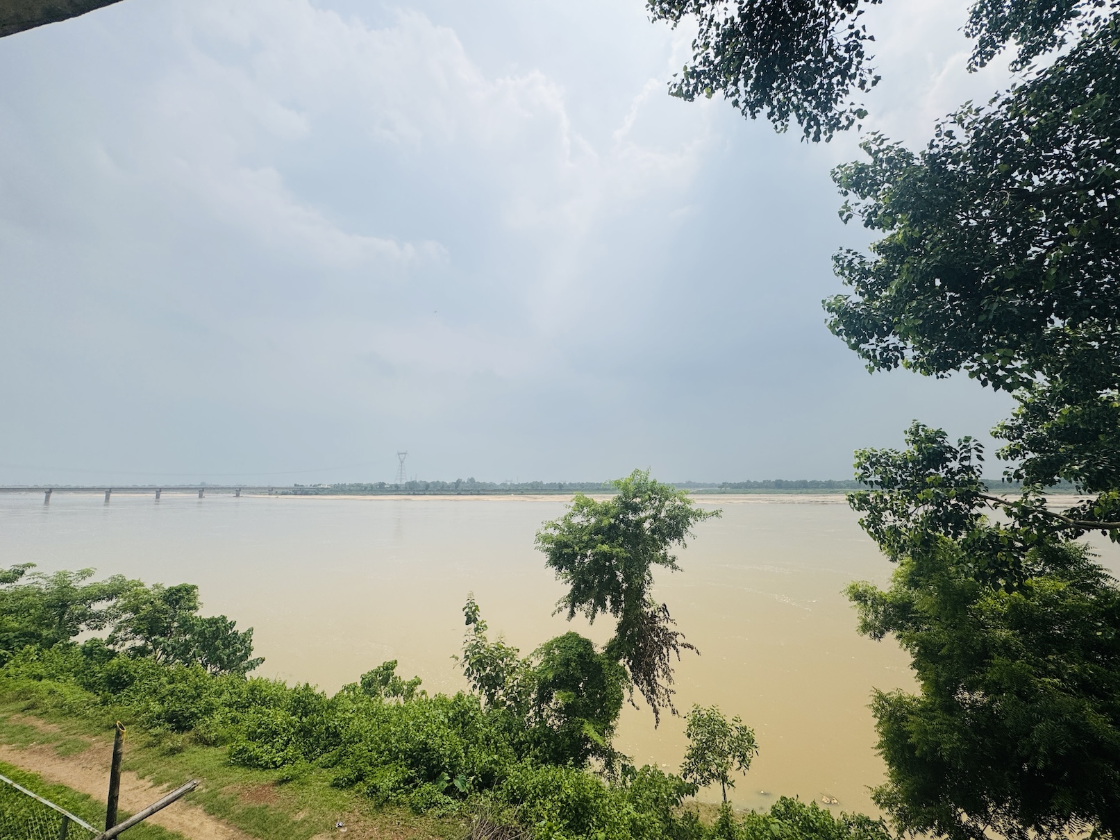 Mangrove waterway