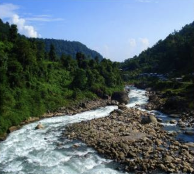 One-horned Rhinoceros