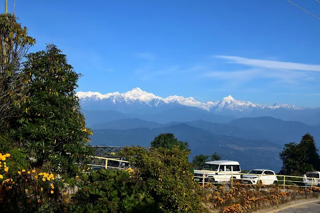 One-horned Rhinoceros