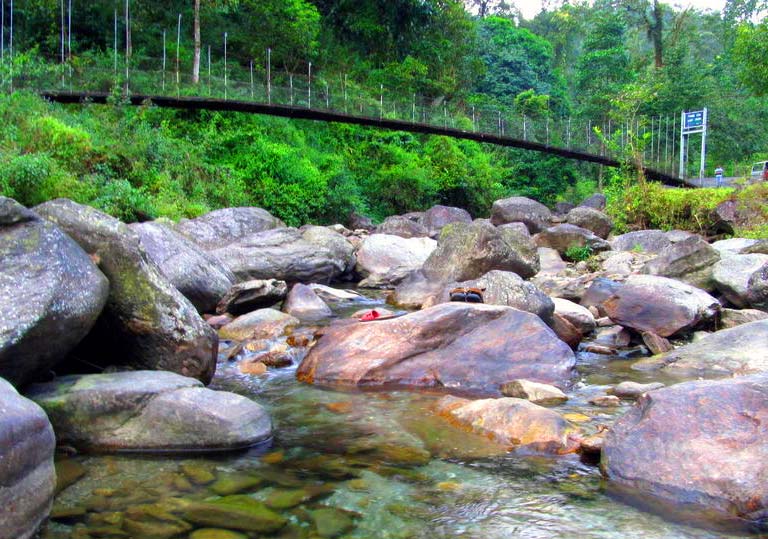 One-horned Rhinoceros