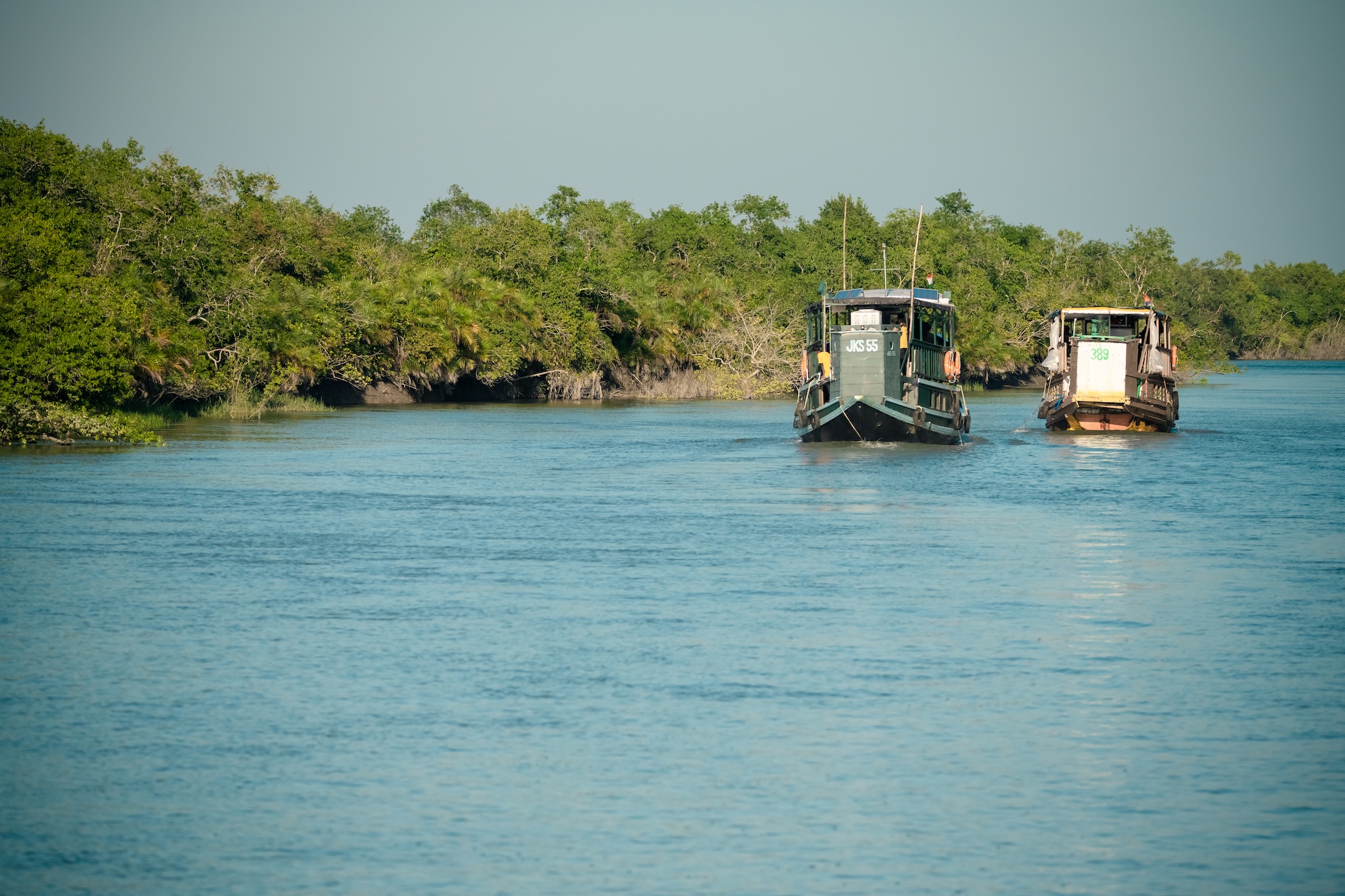 Boat safari in Sundarbans