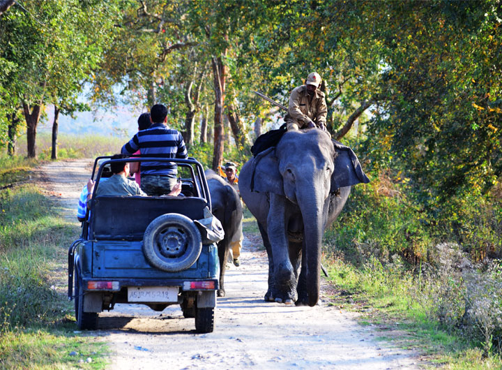 Jeep Safari Adventures