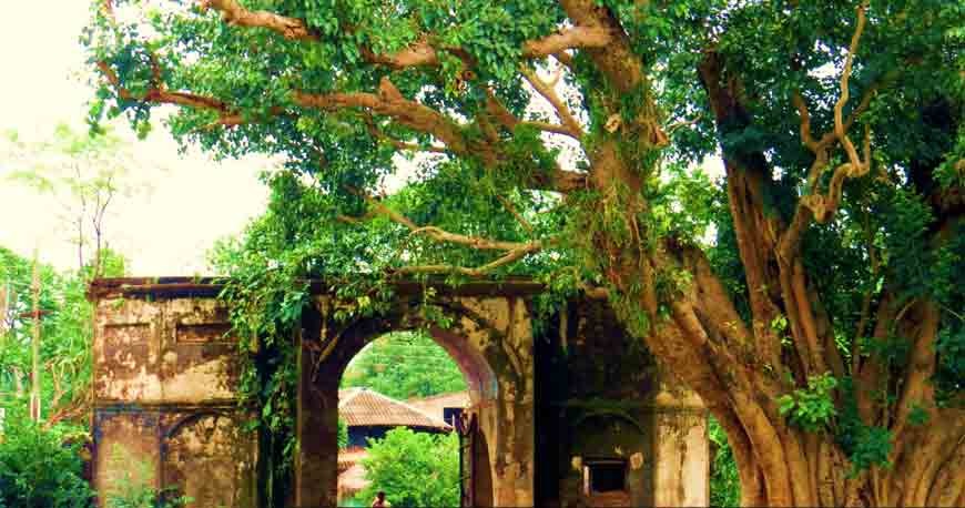 Traditional Village Tours