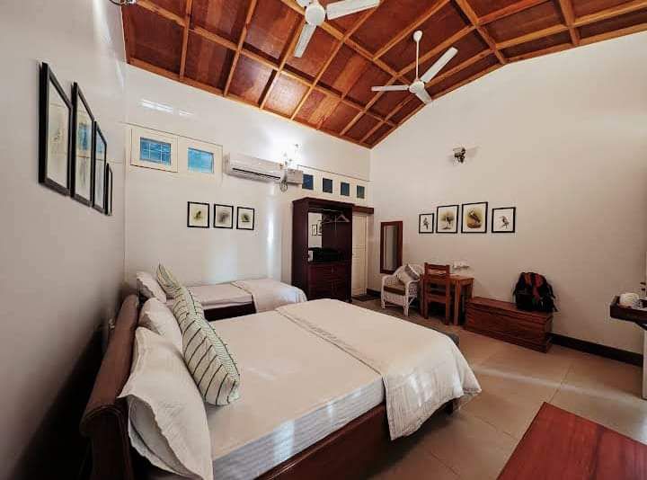 Forest Lodge Room